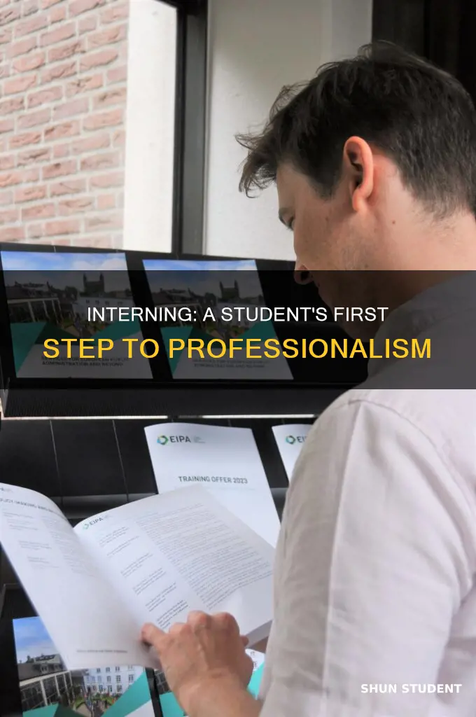 what does it mean to be a proffesional student intern