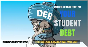 Student Debt: Default and the Consequences