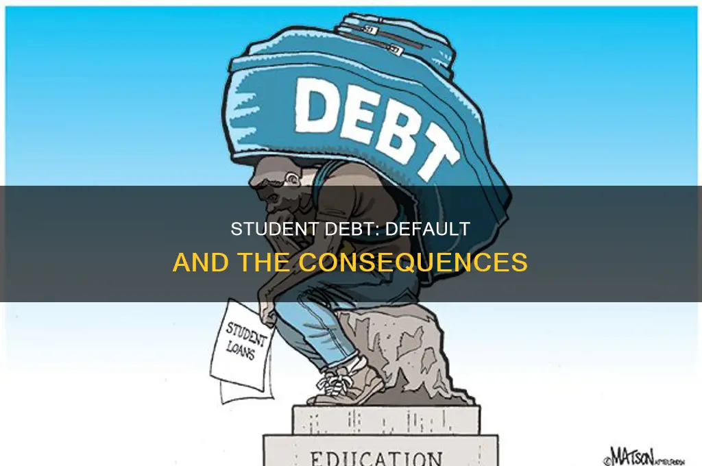 what does it mean to not pay your student debt