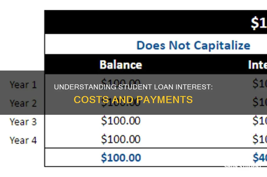 what does it mean to pay student loan interest