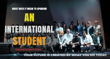 Sponsoring an International Student: What Does It Entail?