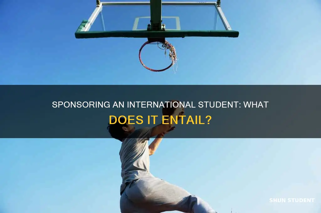 what does it mean to sponsor an international student