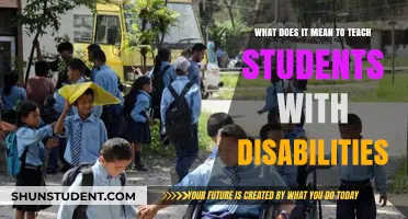 Empowering Inclusive Education: Teaching Students with Disabilities Effectively