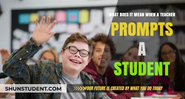 Understanding Teacher Prompts: Enhancing Student Engagement and Learning Outcomes