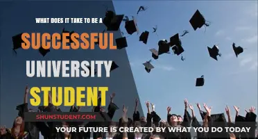 Strategies for Success: University Edition
