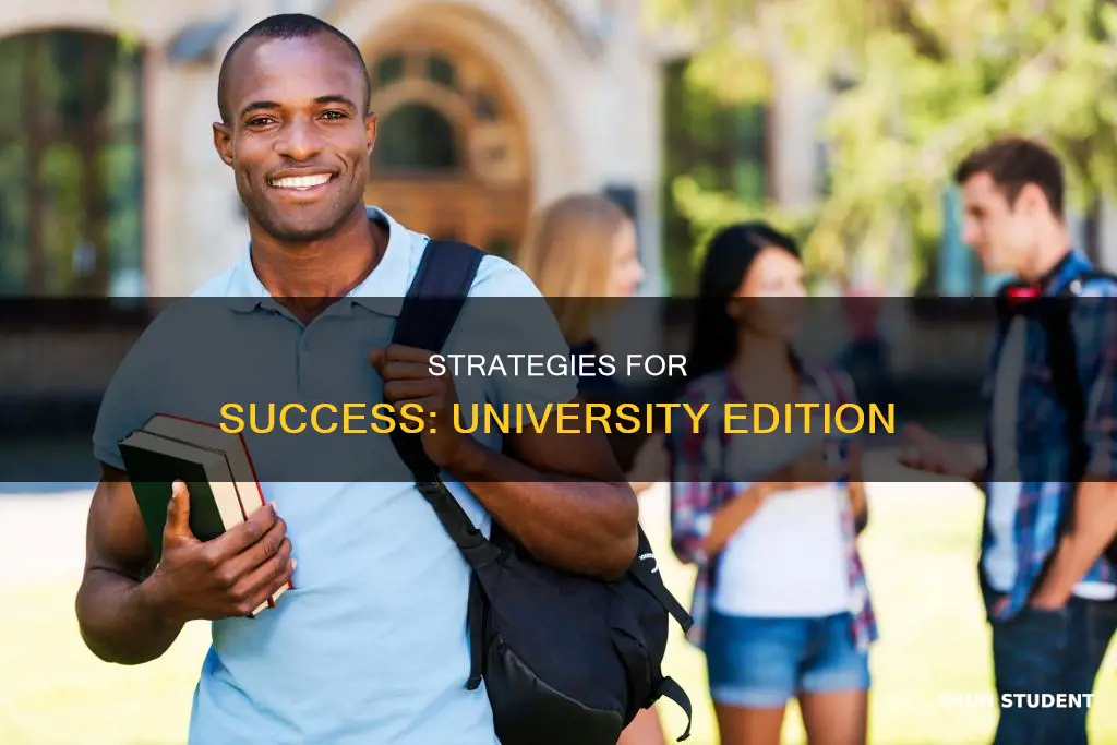 what does it take to be a successful university student