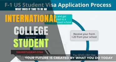 An International Student's Guide to College Success