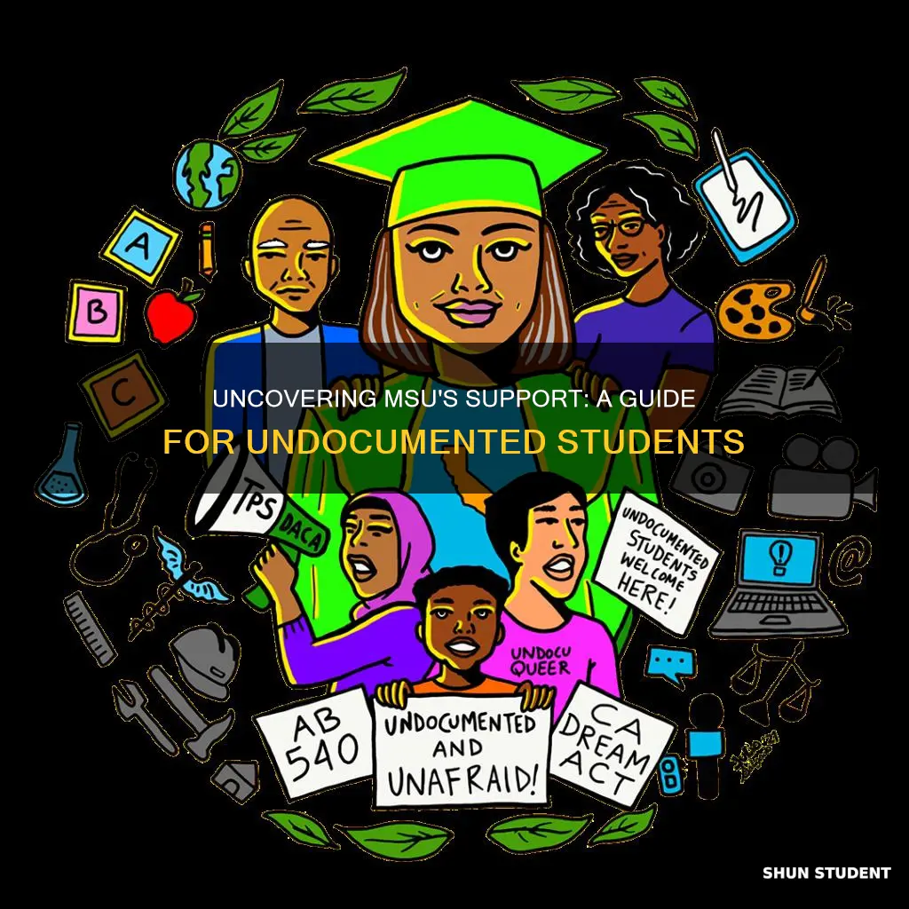 what does michigan state university do when undocumented students