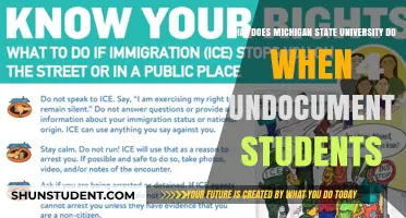 Michigan State University: Support for Undocumented Students
