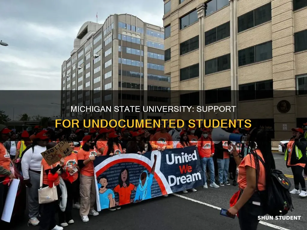 what does michigan state university do when undocumented students