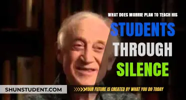 Silence as a Teacher: Morrie's Unique Lesson Plan for Students