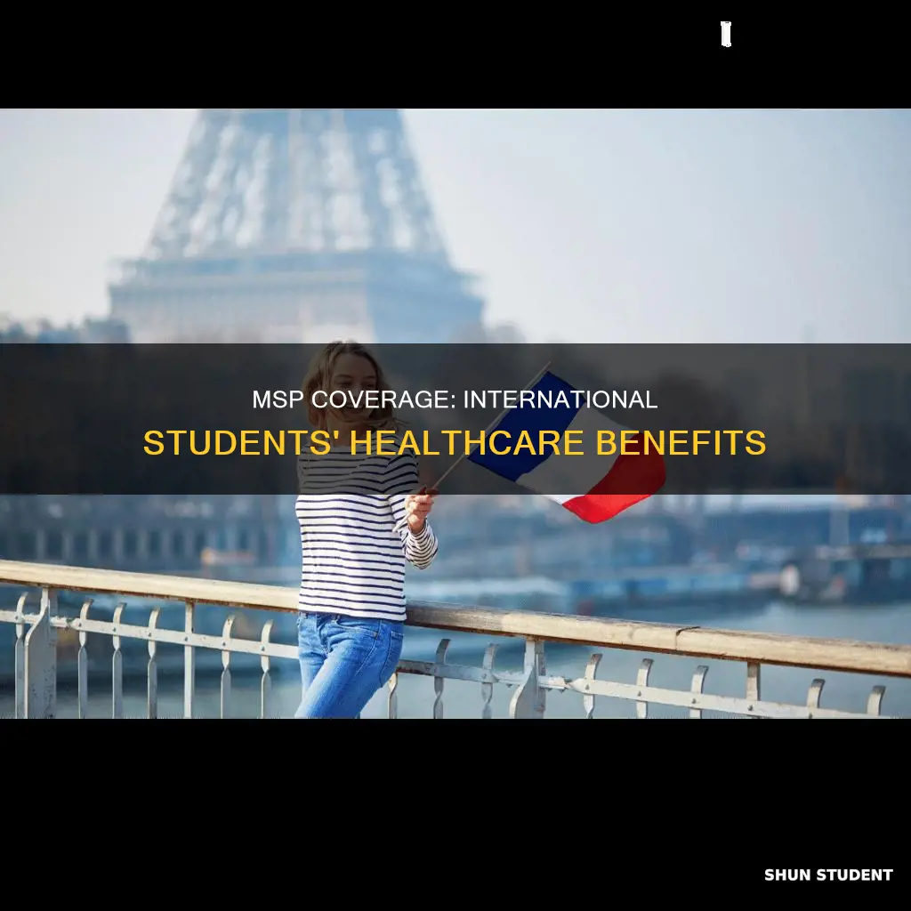 what does msp cover for international students