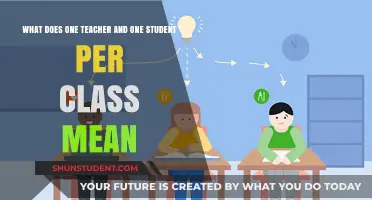 One Teacher, One Student: Redefining Personalized Learning in Education