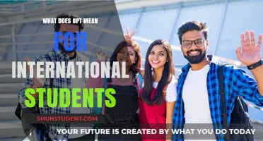 OPT: A Pathway to US Work Experience for International Students