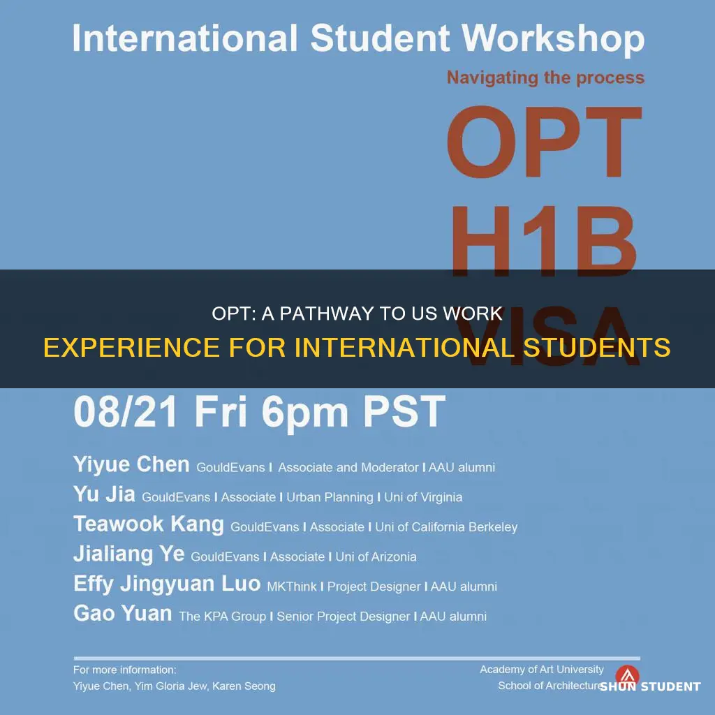 what does opt mean for international students
