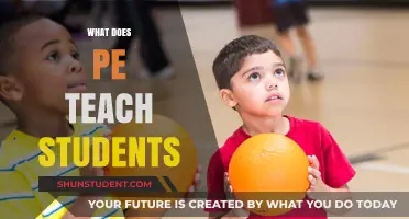 What Does PE Teach Students? Skills, Benefits, and Lifelong Lessons