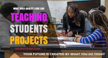 Defining Quality in Teaching: Crafting Effective Student Project Experiences