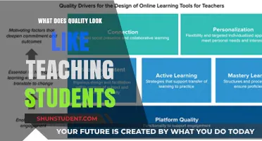 Defining Quality Teaching: Engaging and Empowering Students for Success