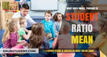 Understanding the Impact of Small Teacher-to-Student Ratios on Learning