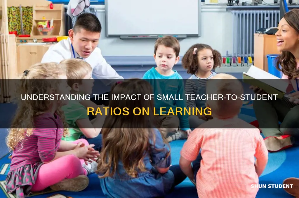 what does small teacher to student ratio mean
