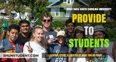 South Carolina University: Student Experience and Opportunities