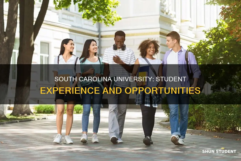 what does south carolina university provide to students