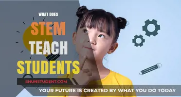 STEM Education: Empowering Critical Thinkers and Innovators of Tomorrow