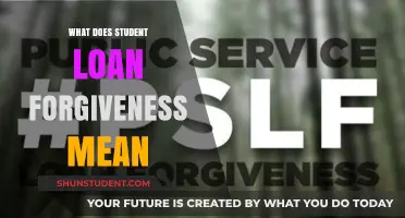 Understanding Student Loan Forgiveness: What It Means for Borrowers