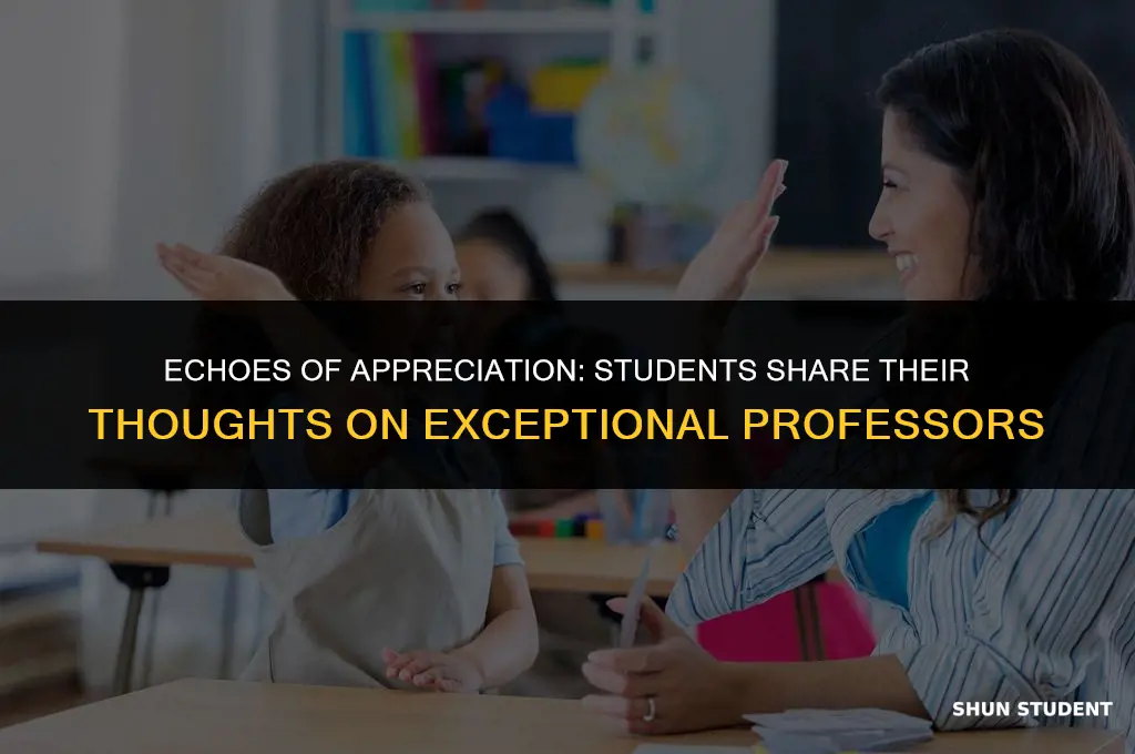 what does student say about good professor