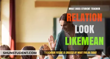 Understanding the Dynamics of Student-Teacher Relationships in Modern Education
