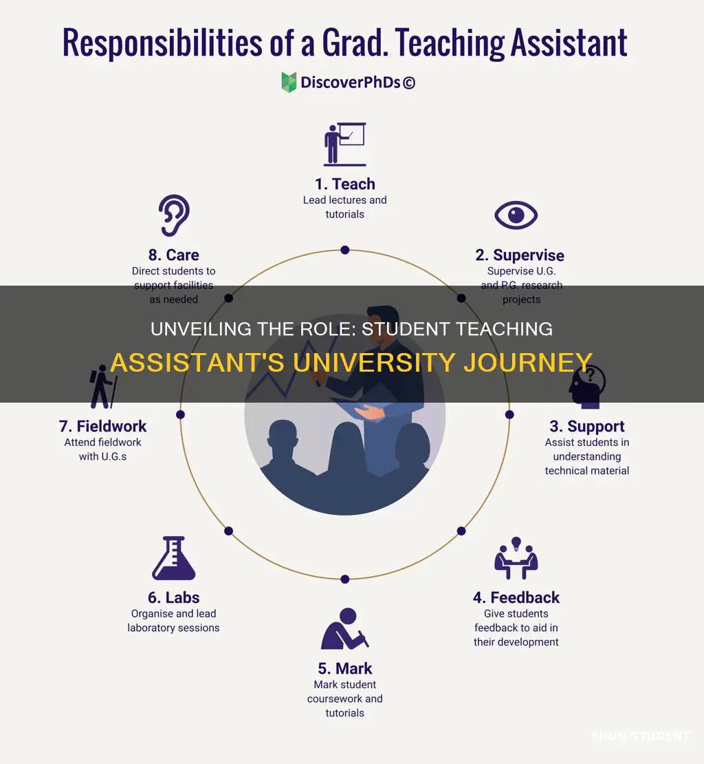 what does student teaching assistant do university