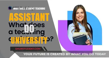 Teaching Assistant Roles: Supporting Students and Professors