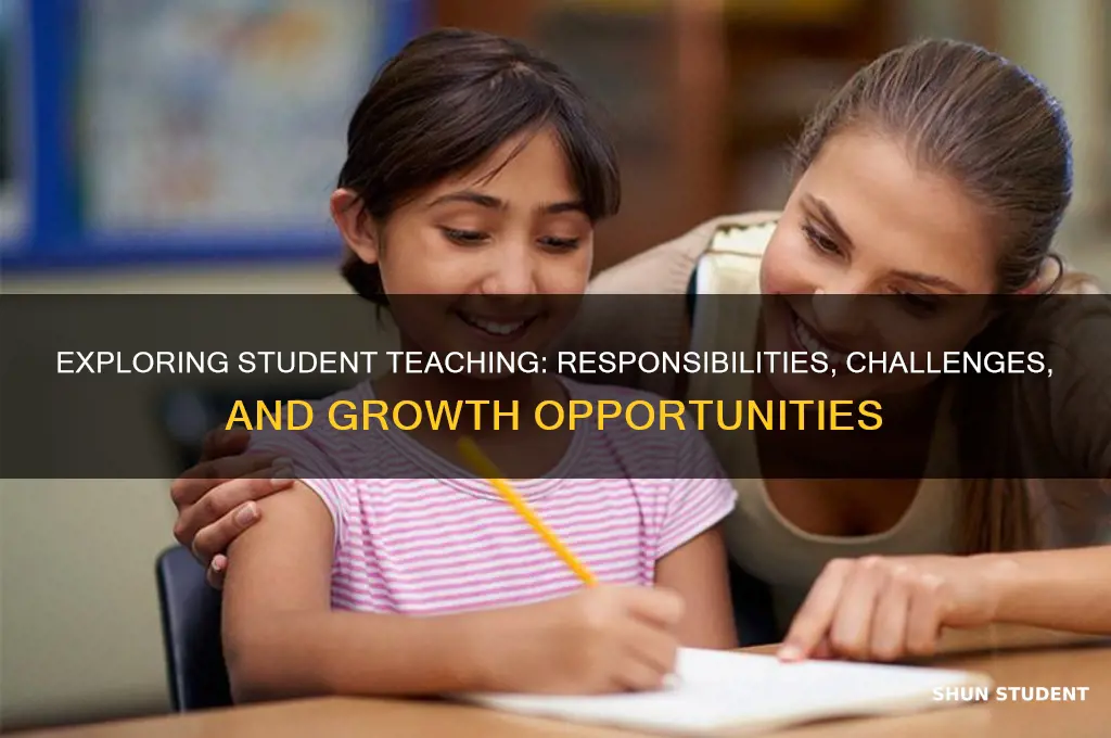 what does student teaching involve