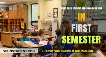 First Semester Student Teaching: Expectations, Challenges, and Real-World Experiences