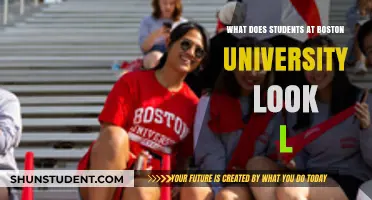 Boston University Students: A Snapshot