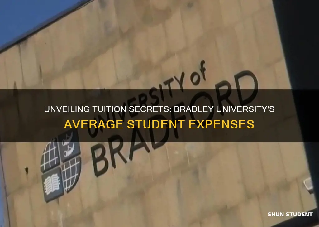 what does the average student pay at bradley university