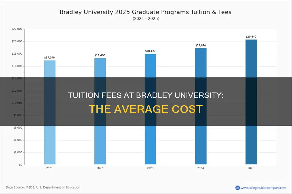 what does the average student pay at bradley university