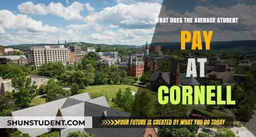 Tuition Fees at Cornell: The Average Student's Cost