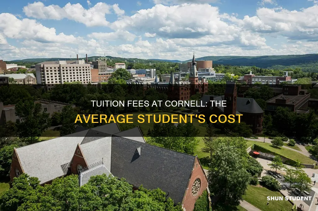 what does the average student pay at cornell
