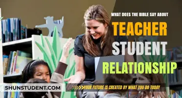 Biblical Insights on Teacher-Student Relationships: Guidance and Boundaries