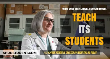 Clinical Scholar Model: Core Teachings and Student Learning Outcomes