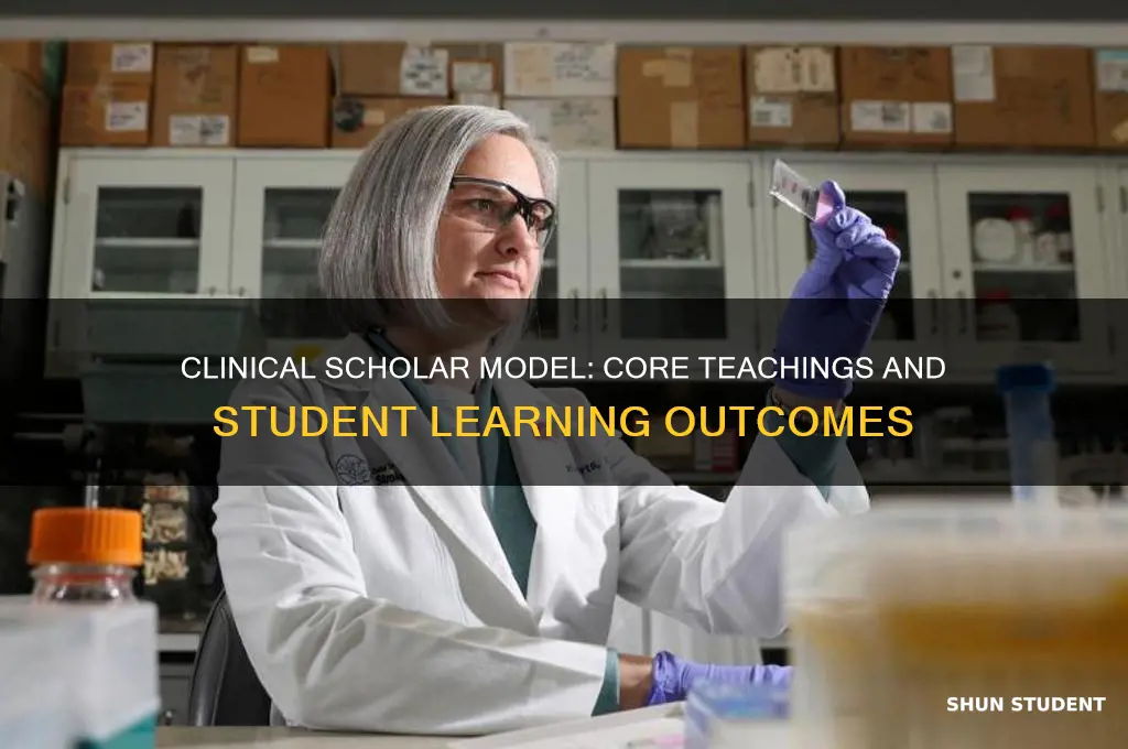 what does the clinical scholar model teach its students