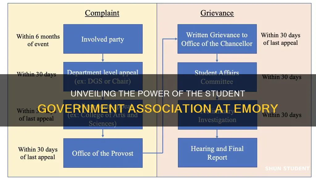 what does the student government association do at emory university