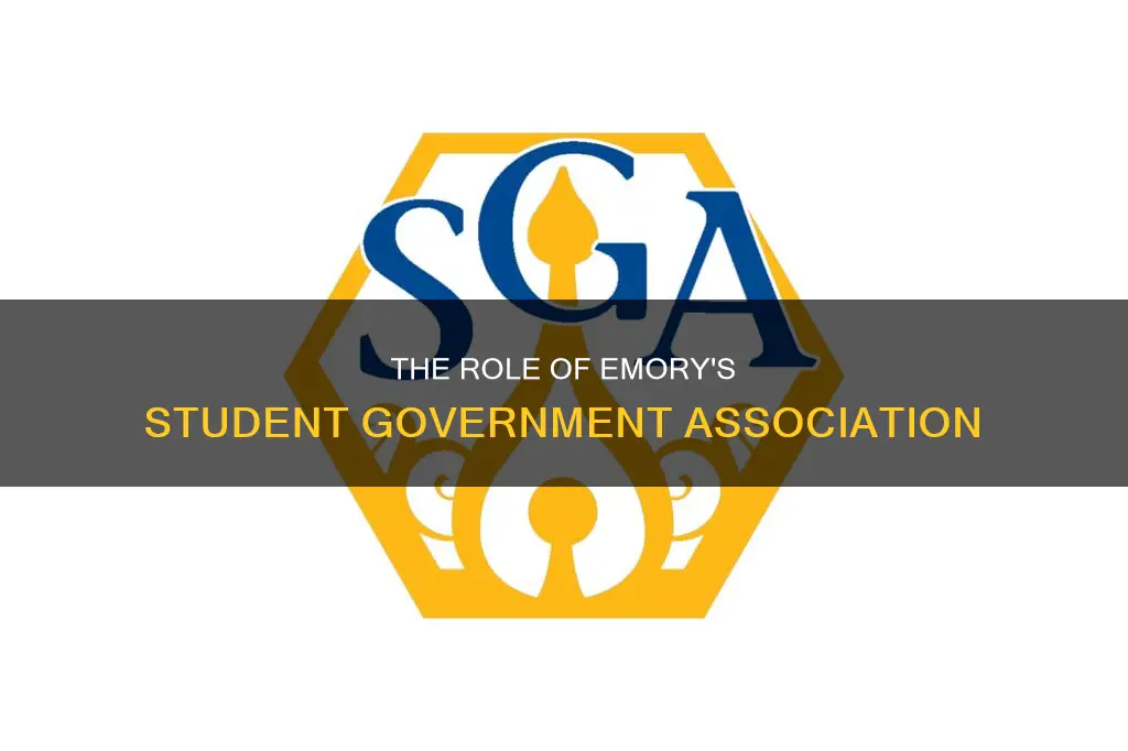 what does the student government association do at emory university