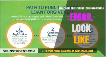 Student Loan Forgiveness Email: What to Expect and How to Verify