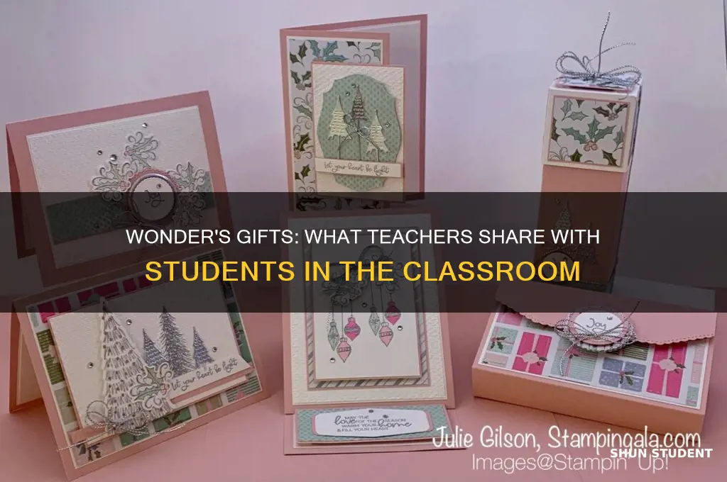 what does the teacher give to the students in wonder