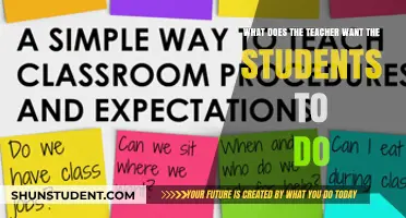 Understanding Teacher Expectations: What Students Need to Do to Succeed