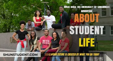 Cincinnati Student Life: A Vibrant, Supportive Community