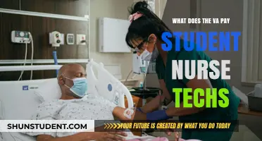 Lucrative Opportunities for Student Nurse Techs at the VA