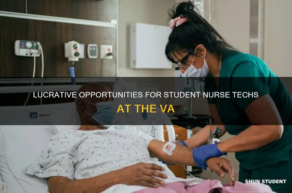 what does the va pay student nurse techs